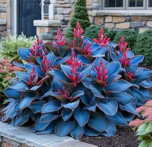 Хоста Грин Фог купить по цене от 669р. в интернет-магазине «Посадика» с доставкой почтой в в Топкие и по всей России – [изображение №1].