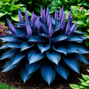 Хоста Сикрет Гров купить по цене от 570р. в интернет-магазине «Посадика» с доставкой почтой в в Топкие и по всей России – [изображение №1].